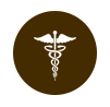 icon_health