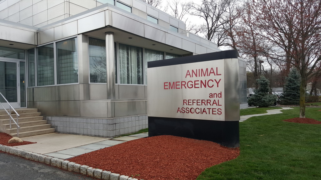 animal emergency and referral associates  Palma, Inc.