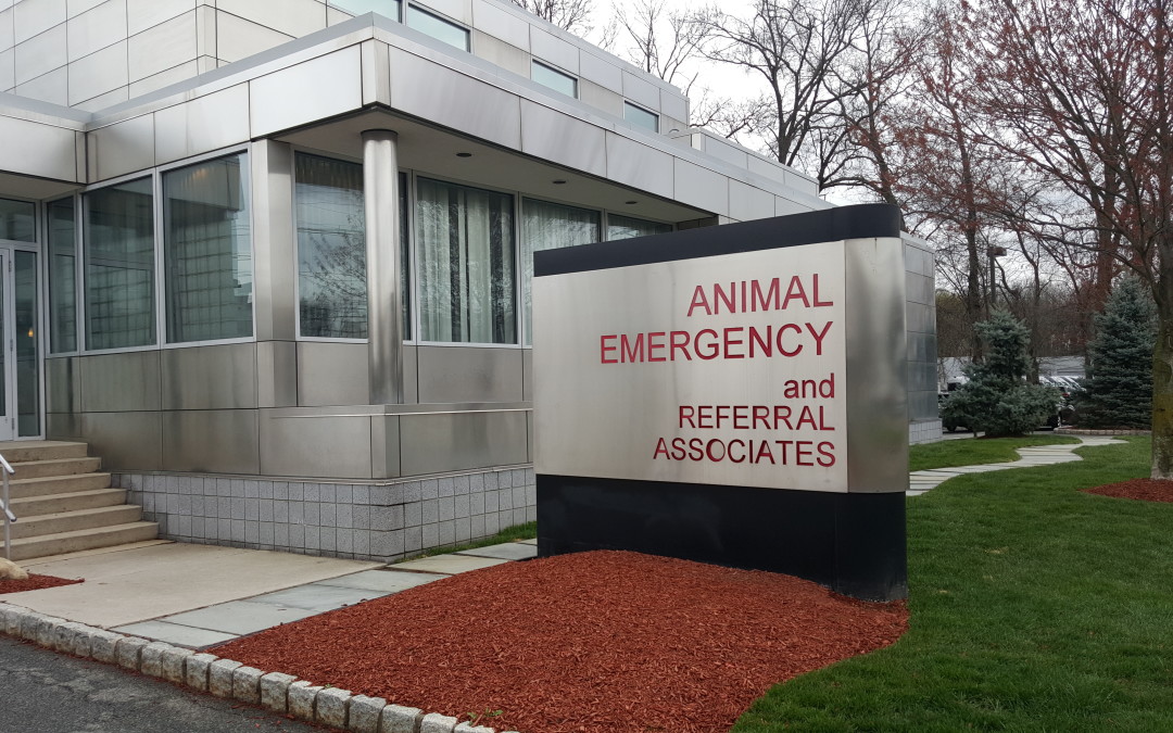 Animal Emergency and Referral Associates, Northern NJ