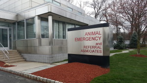 animal emergency and referral associates